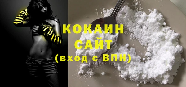 прущие грибы Себеж