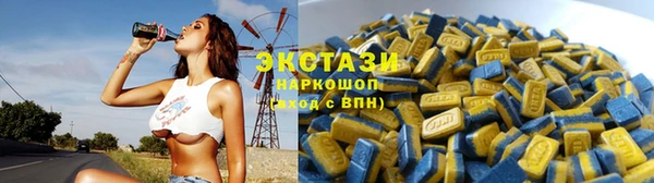 гашик Медногорск