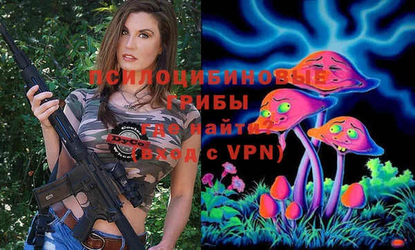 гашик Медногорск