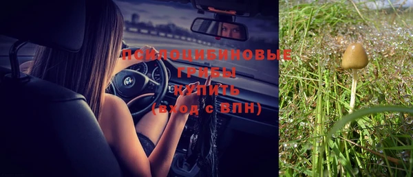 гашик Михайлов