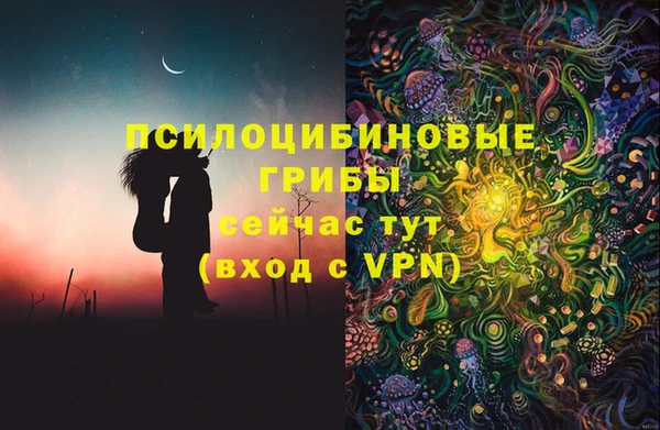 гашик Медногорск