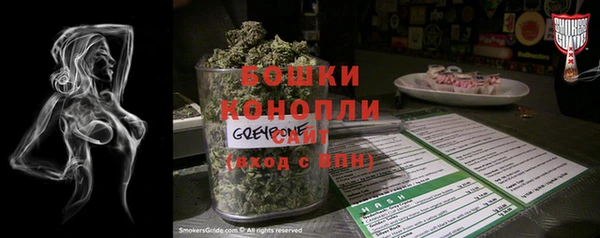 гашик Медногорск