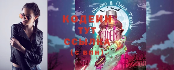 гашик Михайлов