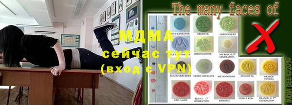 гашик Михайлов