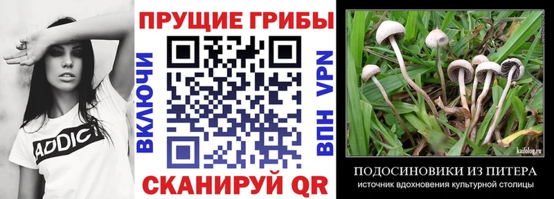 Галлюциногенные грибы ЛСД наркота Зеленогорск