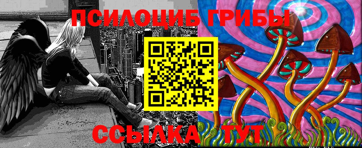 Галлюциногенные грибы прущие грибы  даркнет сайт  Зеленогорск  Вход с VPN  Галлюциногенные грибы Cubensis 