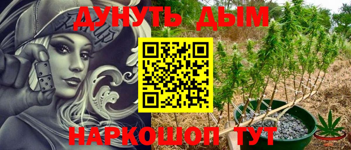 Бошки Шишки THC 21% Зеленогорск